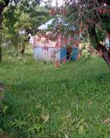 Земельный участок 45 соток с домиком