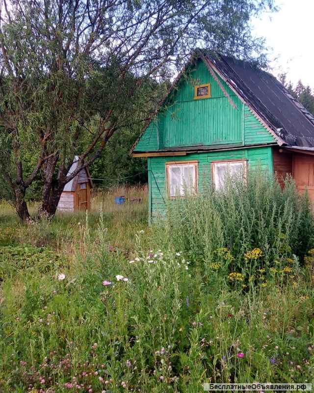 Земельный участок 45 соток с домиком