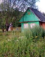 Земельный участок 45 соток с домиком