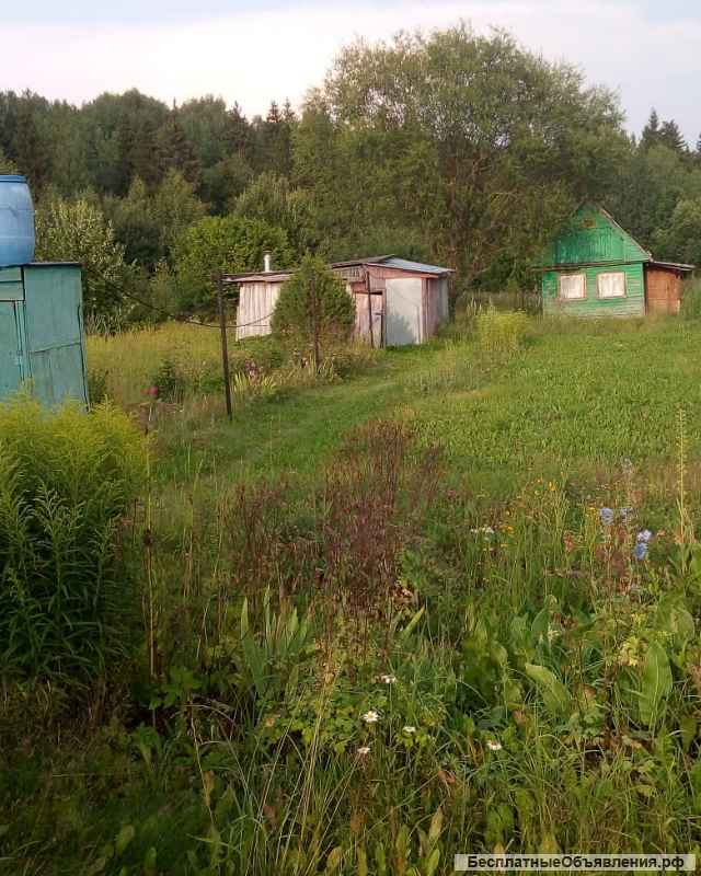 Земельный участок 45 соток с домиком