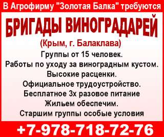 Требуются БРИГАДЫ ВИНОГРАДАРЕЙ