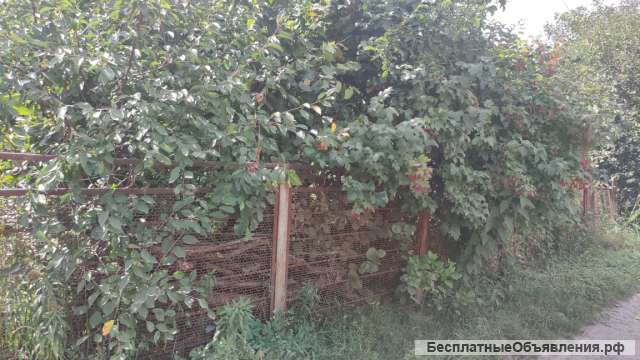Участок 8 сот СНТ Дружба