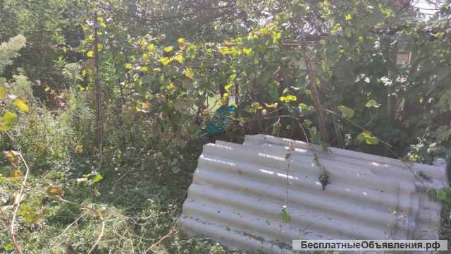 Участок 8 сот СНТ Дружба