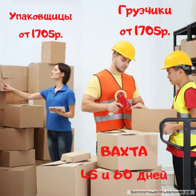 ВАХТА на 45,60 дней с проживанием в Москва