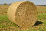 Сено в рулонах