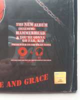 The Offspring Rise And Fall, Rage And Grace