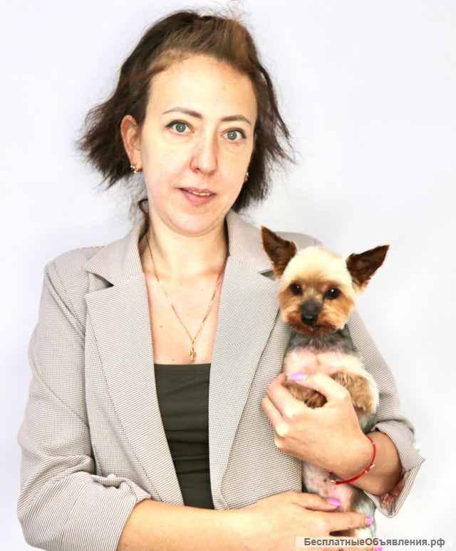 Славный пёс Чико в добрые руки