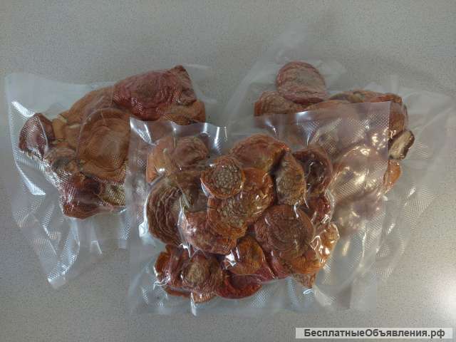 Мухоморы красные