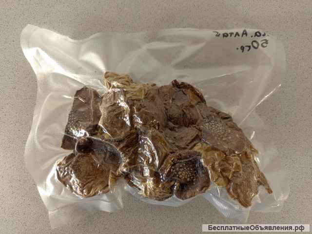 Мухоморы красные