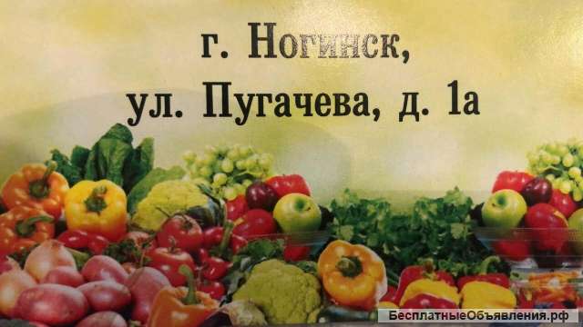 Фруктовая и овощная база