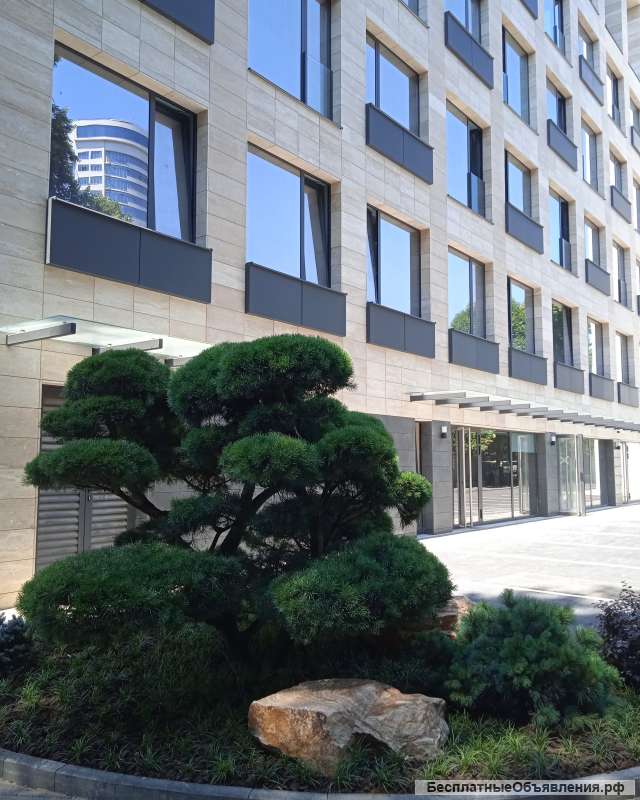 Апартамент в самом центре Сочи в новом комплексе