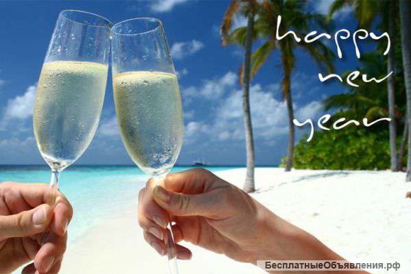 Новогодние каникулы в жарких странах с MIOSTA