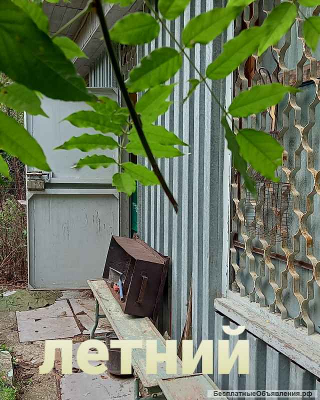 Участок земли в лесу