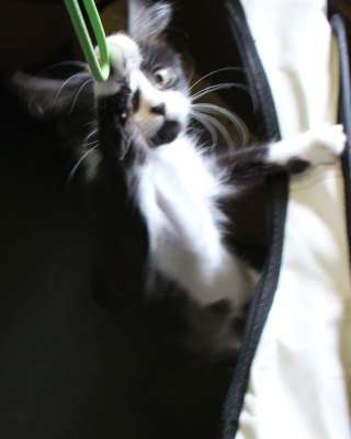 Возьмите меня домой