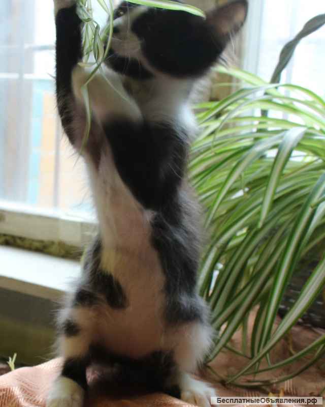 Возьмите меня домой