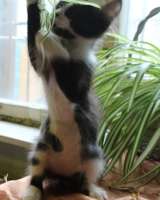 Возьмите меня домой