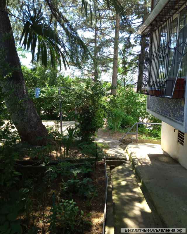 Квартира в Сочи Центральный район города