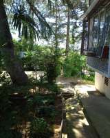 Квартира в Сочи Центральный район города