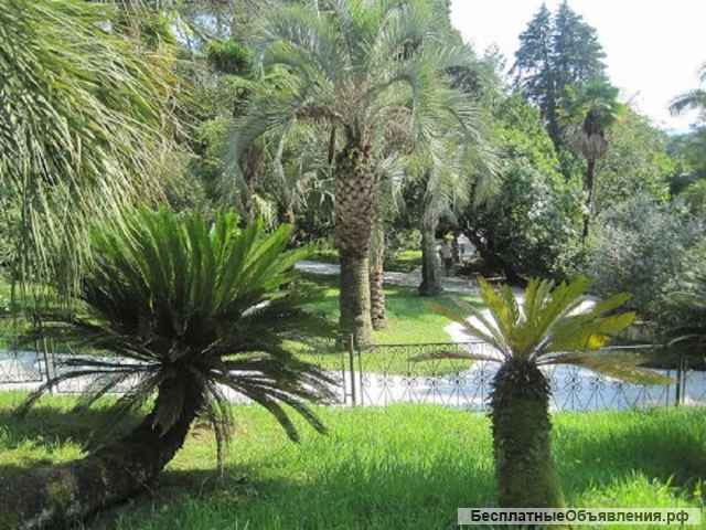 Квартира у моря