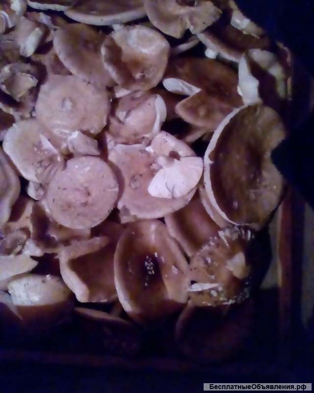 Патентный мухомор