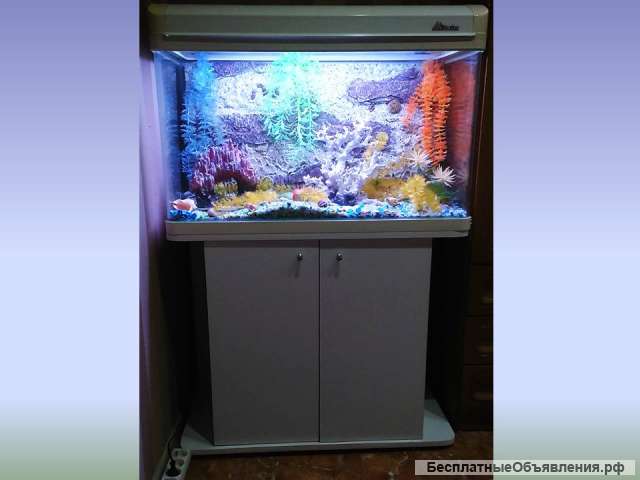 Аквариум с тумбой SunSun 170л с оборудованием