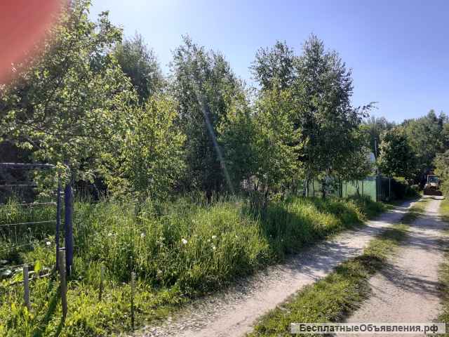 Участок 68 в снт тесна