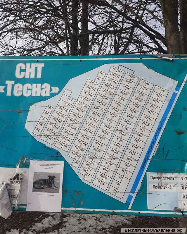 Участок 68 в снт тесна