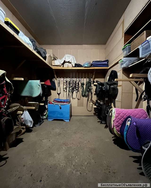 Постой, уход за лошадьми