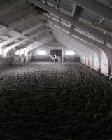 Постой, уход за лошадьми