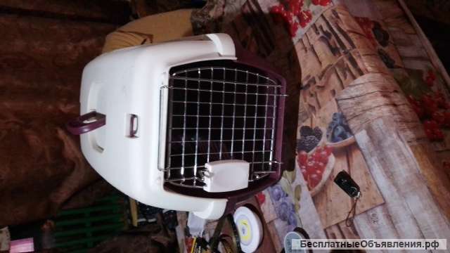 Переноска пластик