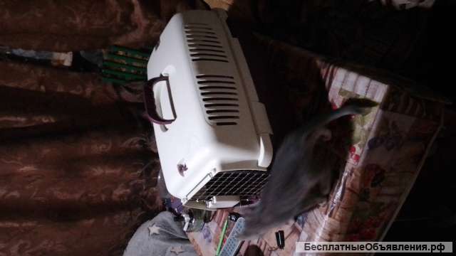 Переноска пластик