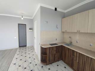 1-комнатная квартира, 47 кв.м., ул. Яна Полуяна, 47