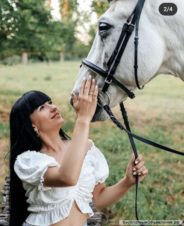 Конные прогулки