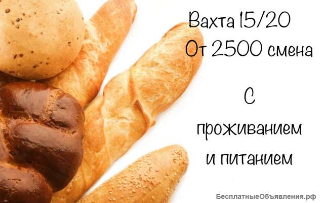 Упаковщик хлеба в Москву с вахтой на любой срок