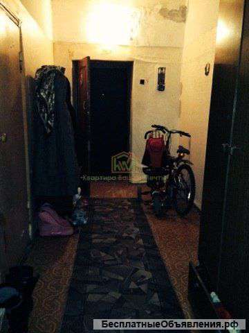 Плещеевская 47