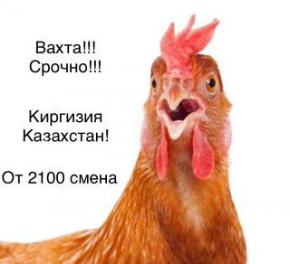 Рабочие мусульмане на птицефабрику в Москве вахта от 15 смен