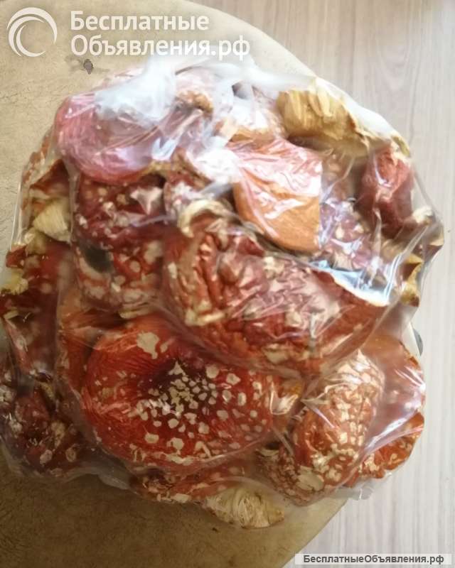 Мухоморы сухие