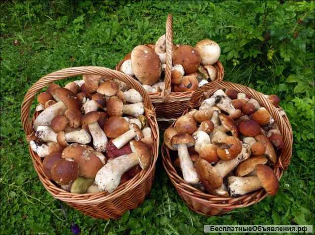 Grow House проводит набор сотрудников на работу