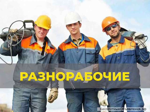 Разнорабочие