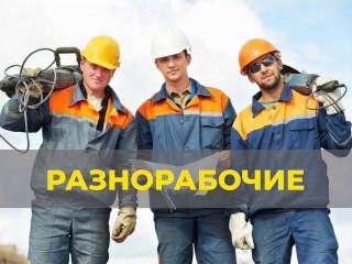 Разнорабочие