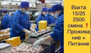 Рабочий, упаковщик на птицефабрику в Москве вахта 15/25