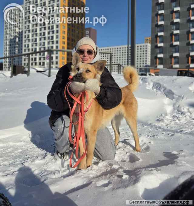 Шикарный парень Рэй в добрые руки