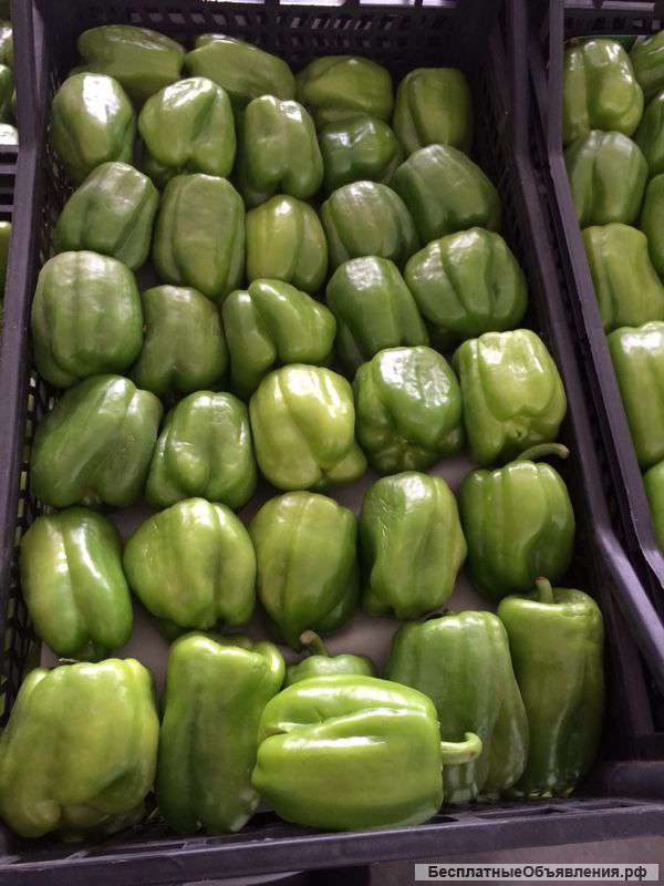 Перец (Израиль)