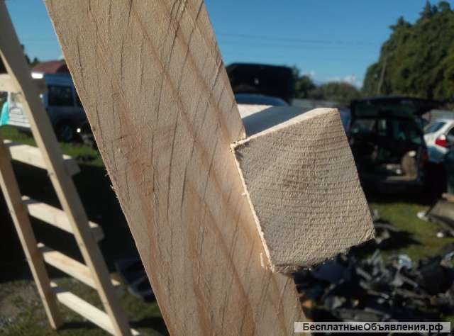 Лесница "Мандаринка"