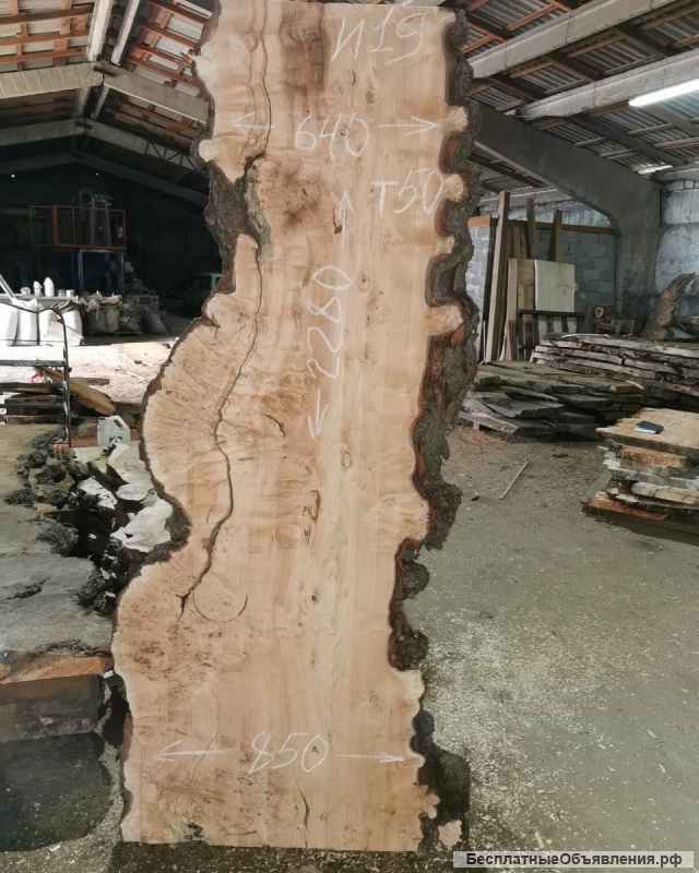 Слэбы из дуба, шпальтового бука, капового тополя, вербы, капового карагача, ясеня