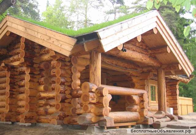 Баня дикая рубка Премиум с производства Вологда
