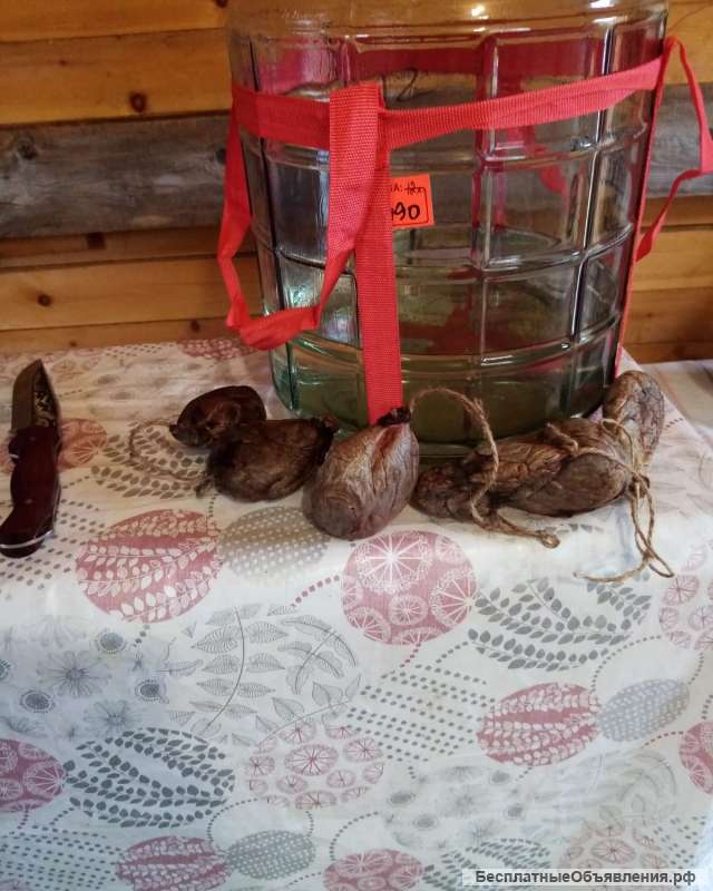 Вытяжка струи бобра