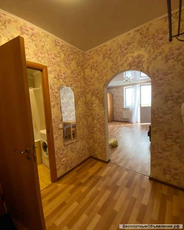 Студия 30 м2 Домбайская