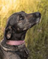 Люся ищет свою вселенную