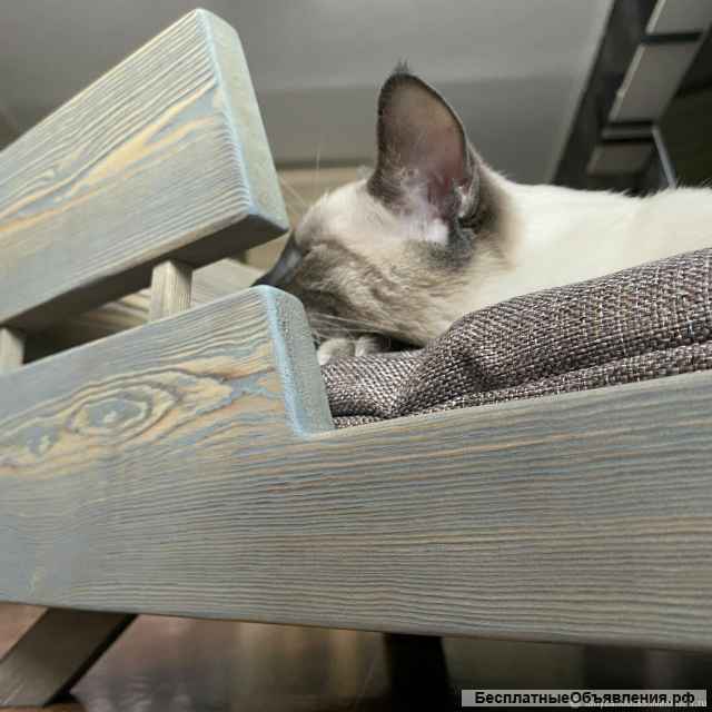 Лежанка в стиле лофт Barbaris для животных